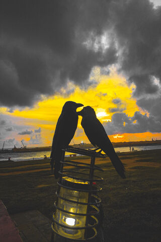 Twilight Affection: A Love Story in Shadows