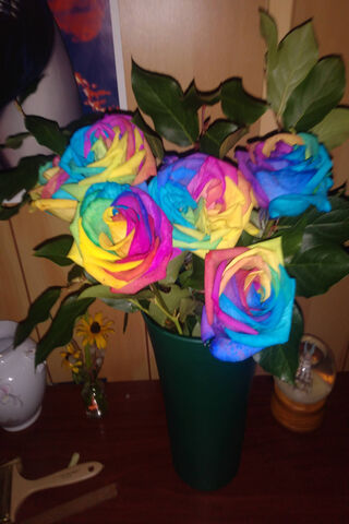 Rainbow Dreams: A Burst of Color 🌈🌹