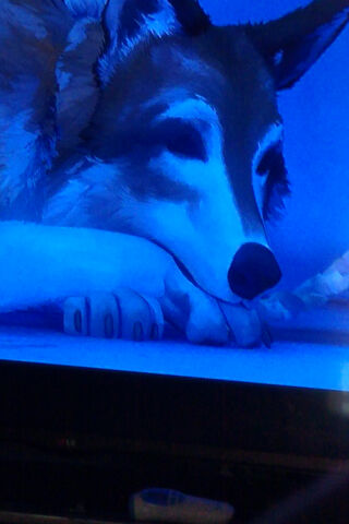 The Spirit of the Wild: White Fang's Journey