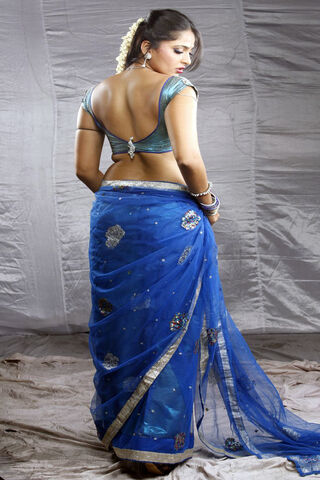 Elegance in Blue: A Traditional Charm