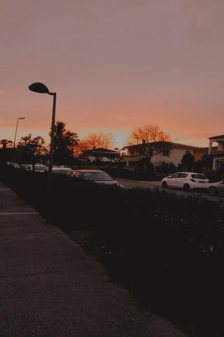 Sunset Serenity 🌅