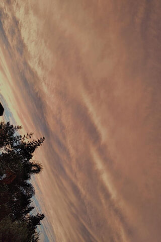 Golden Hour Serenity 🌅