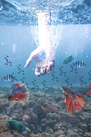 Embrace of the Ocean 🌊✋