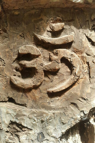 The Sacred Sound: Aum in Nature 🌿✨