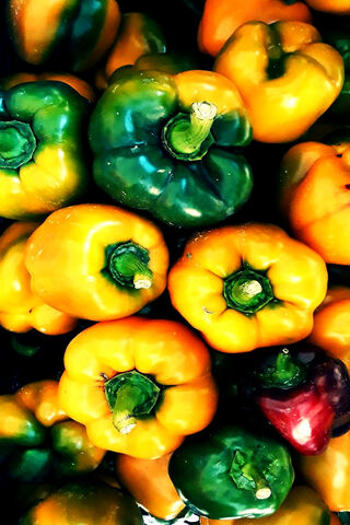 Bell Pepper