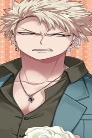 Bakugou Matching