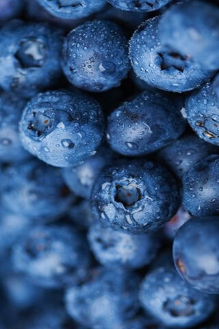 Berry Bliss: The Juicy World of Blueberries 🍇💙