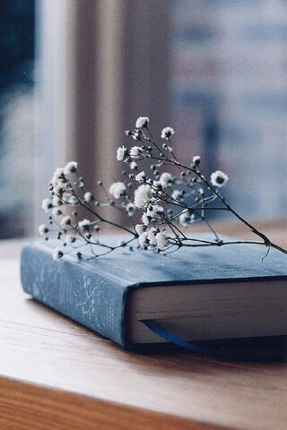 Whispers of Nature: A Book's Embrace