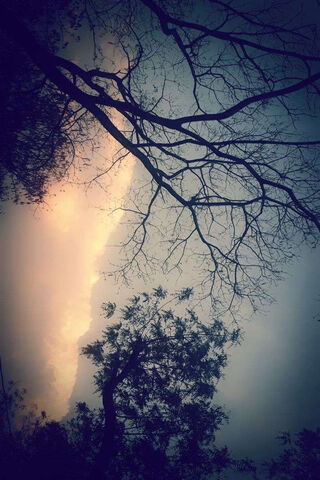 Whispers of Twilight 🌅