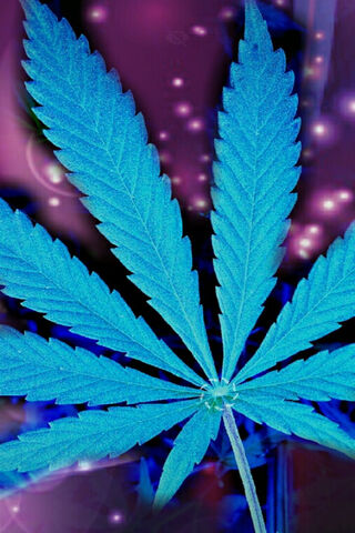 Mystical Blue Leaf: Nature's Artistry 🌿✨