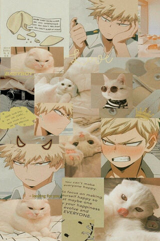 Bakugo's Feline Frenzy! 🐾💥