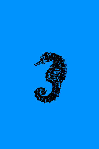 Mystical Caballito De Mar: The Enigmatic Seahorse