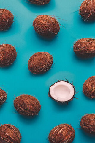 Coconut Delight: Nature's Tropical Treasure 🥥✨