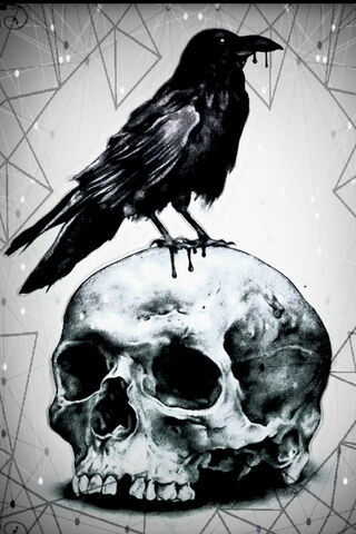 Crow N Skull