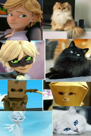 The Purr-fect Duo: Chat Noir and His Feline Friends 🐾✨