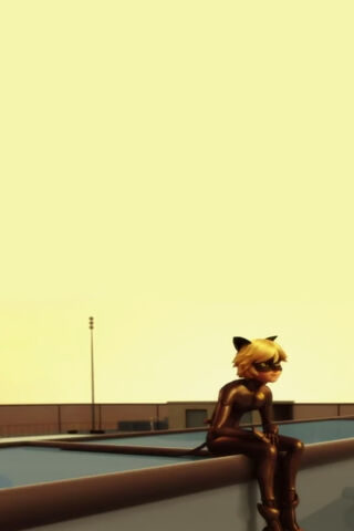 The Mysterious Night Watcher 🐾🌙