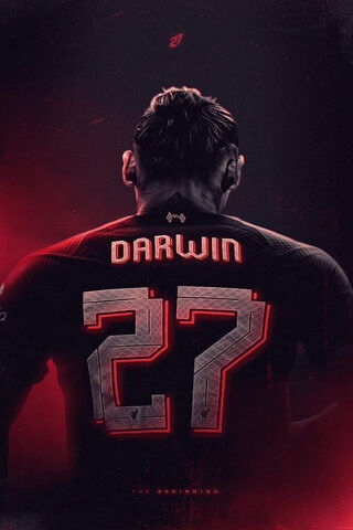 The Rise of Darwin: A New Era Begins ⚽️🔥