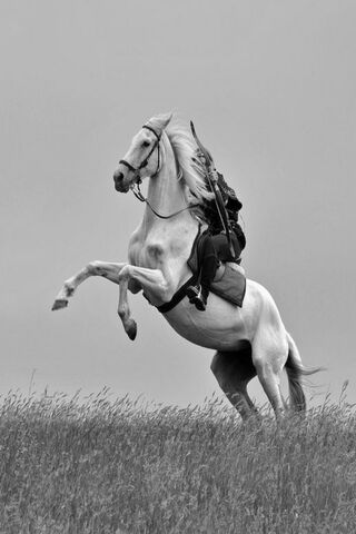 Ertugrul: The Spirit of the Horse