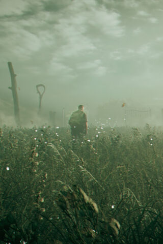 Into the Heart of Hope County 🌄