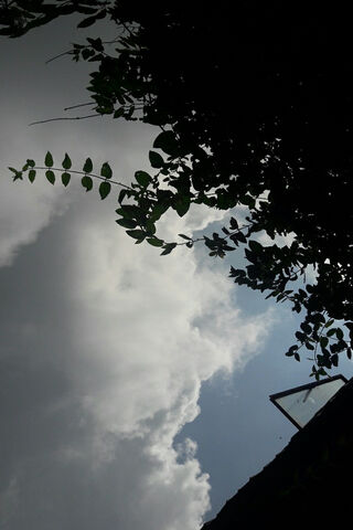 Fasto1108 Cloudy