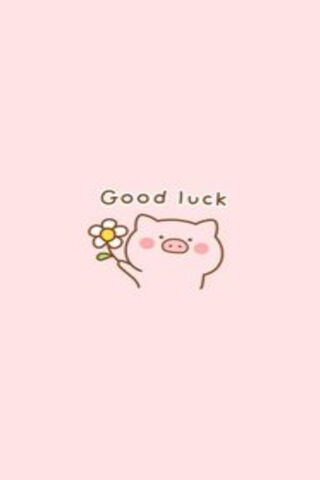 Wishing You Luck with a Smile! 🍀🐷