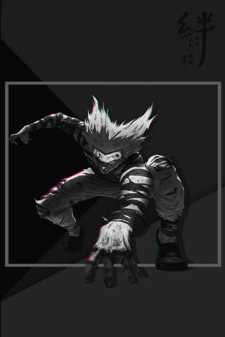 The Fearsome Transformation of Garou
