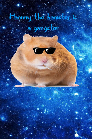 Hammy the Gangster Hamster: Coolest Critter in the Cosmos! 🐹😎