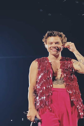 Harry Styles: A Night of Sparkle and Smiles ✨🎤