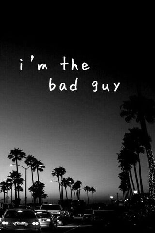 I Am The Bad Guy