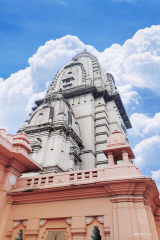 Majestic Kashi Vishwanath Temple: A Spiritual Haven 🕉️✨