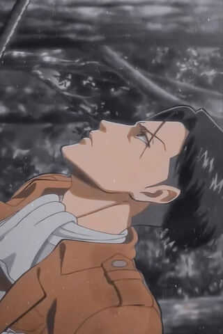 Levi Ackerman: The Silent Guardian 🌌