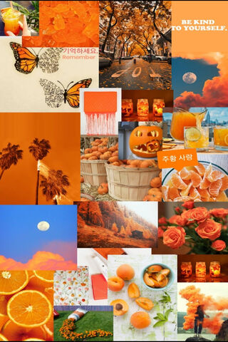 Citrus Dreams: A Vibrant Orange Journey 🍊✨