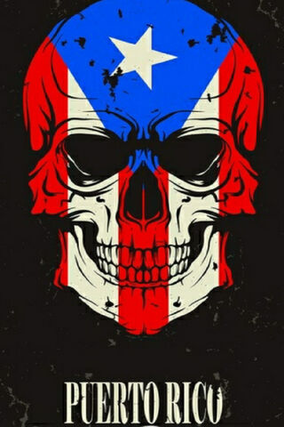 Puerto Rican Skull