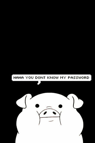 The Secretive Swine 🐷🔒