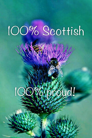 Embracing Scottish Heritage 🌿💚