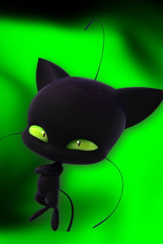 The Mysterious Plaga Chatnoir 🐾✨