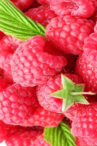 Raspberry Delight: Nature's Sweet Gems 🍇✨