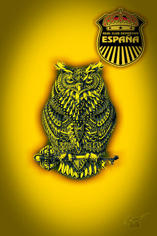 The Wise Guardian of Real España 🦉🇪🇸