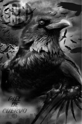 Whispers of the Crow: San Lorenzo's Shadow