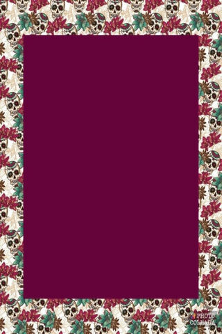 Gothic Elegance: The Skull Frame