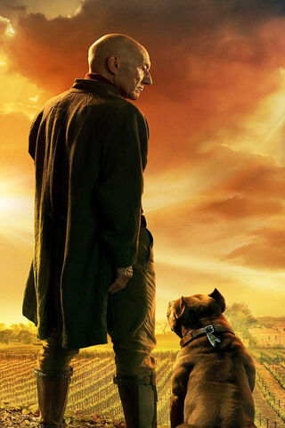 A Journey Beyond the Stars: STPicard