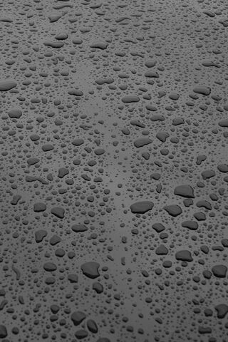 Raindrops on Tikal's Ancient Stones