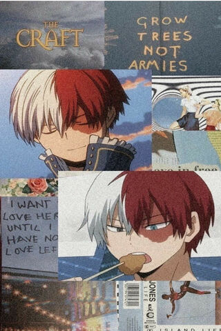 Todoroki: The Duality o..