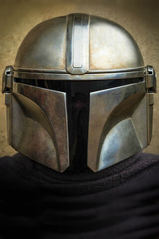 The Mysterious Bounty Hunter