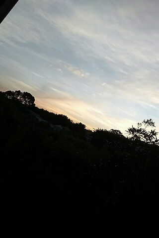 Evening Serenity: A Tarde to Remember 🌅