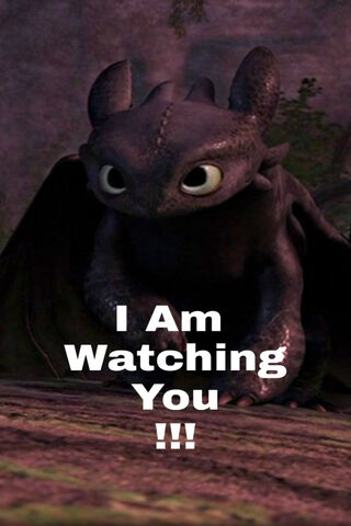 Toothless watching you