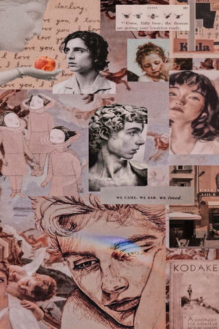 Timothée Chalamet: A Collage of Art and Emotion 🎨✨