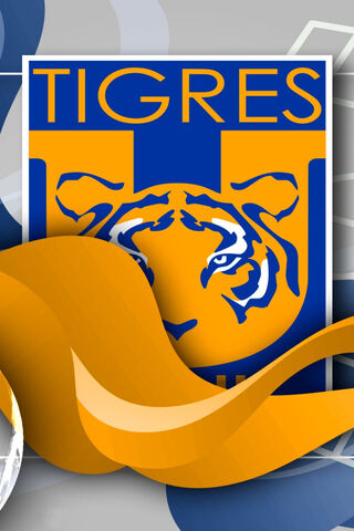 Roaring Verses: The Spirit of Urdu Poetry