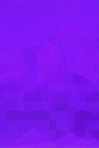 Vibrant Violets: A Splash of Purple