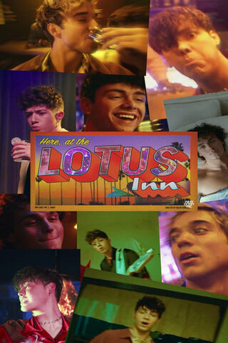 Vibes at the Lotus Inn 🌴✨